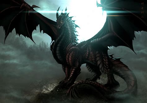 Black Dragons 